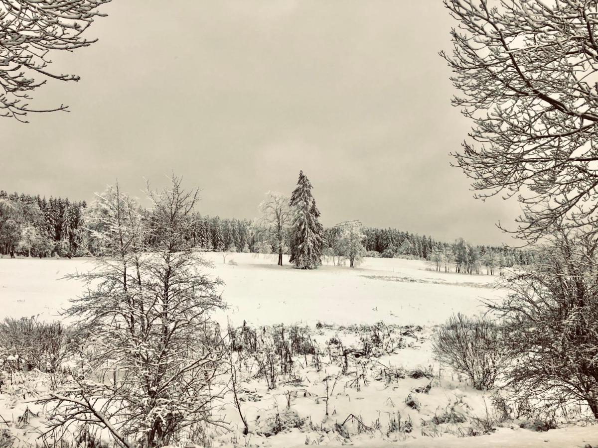App 622 Panoramic Hohegeiss Mit Wlan Terrassenhaus Apartment Braunlage Exterior foto