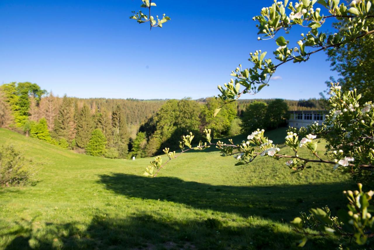 App 622 Panoramic Hohegeiss Mit Wlan Terrassenhaus Apartment Braunlage Exterior foto